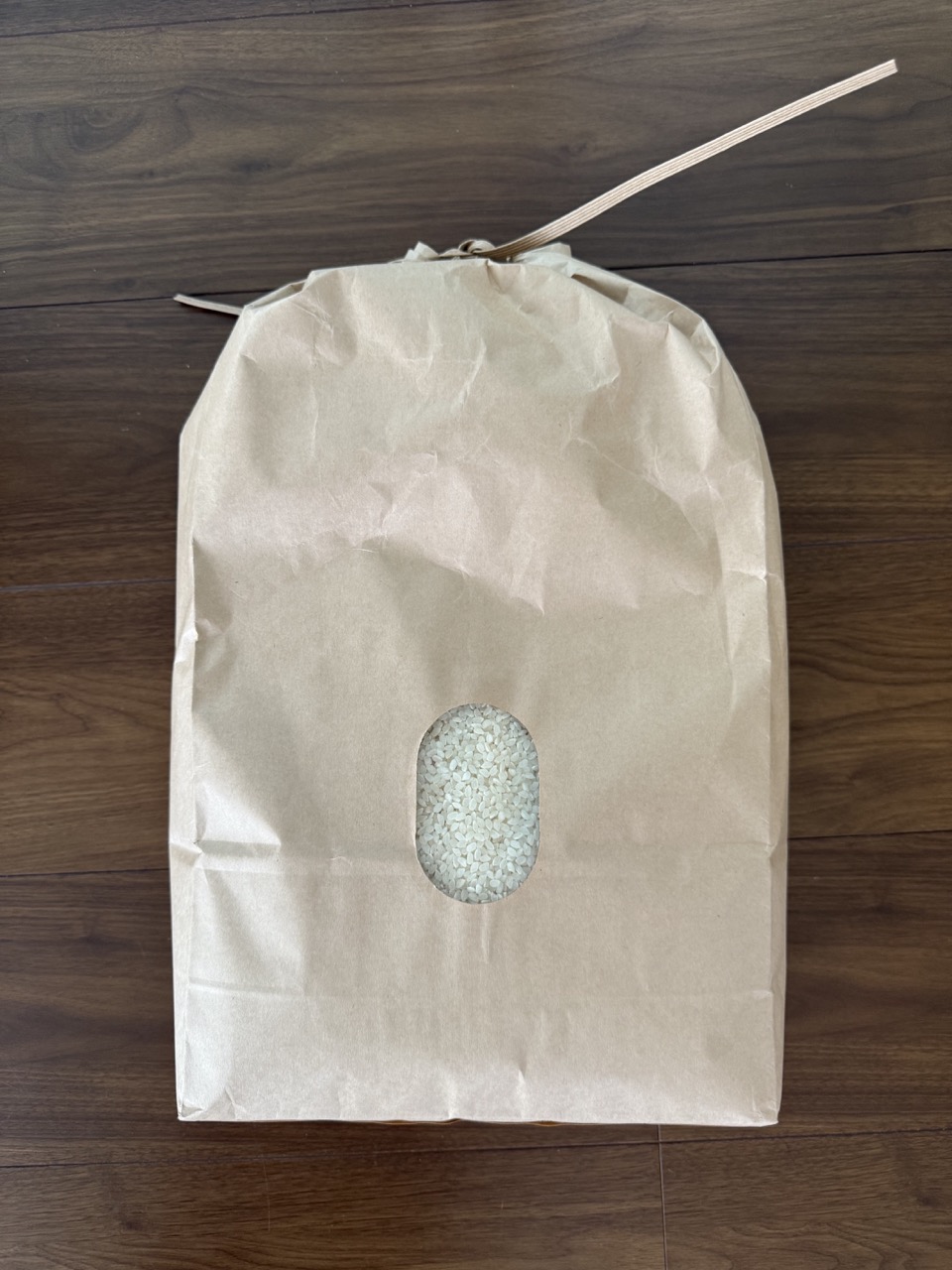 【令和7年産予約】茨城県産 新米 コシヒカリ 10キロ 白米 令和7年産 米 玄米 水稲